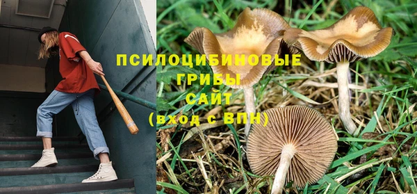 гидропоника Богданович