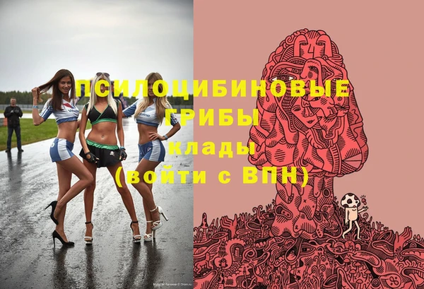 гидропоника Богданович
