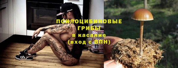 меф Богородск