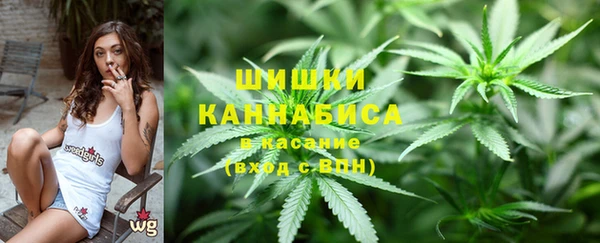 прущая мука Богородицк