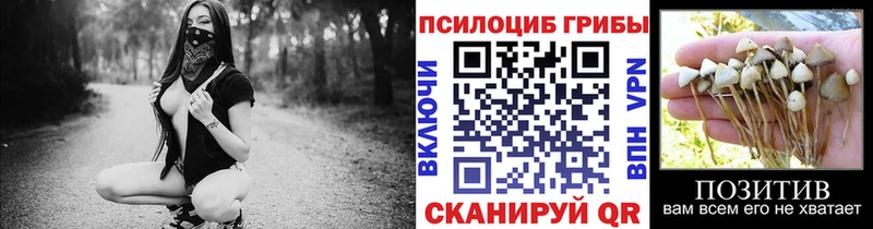 Галлюциногенные грибы Psilocybe  Купить где  Вольск 