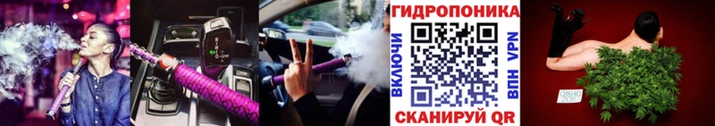Бошки марихуана THC 21% Вольск